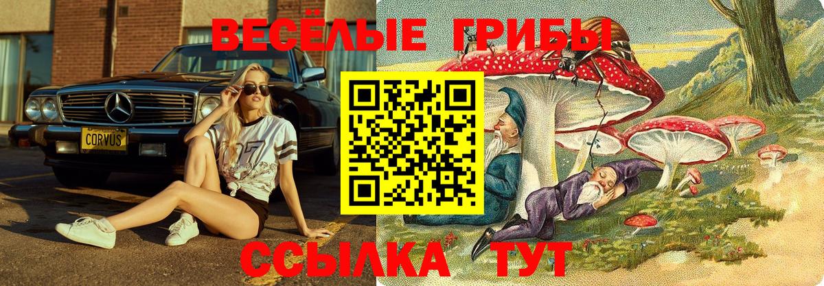 дарнет шоп  Галлюциногенные грибы прущие грибы  Вход с VPN  Лабытнанги 